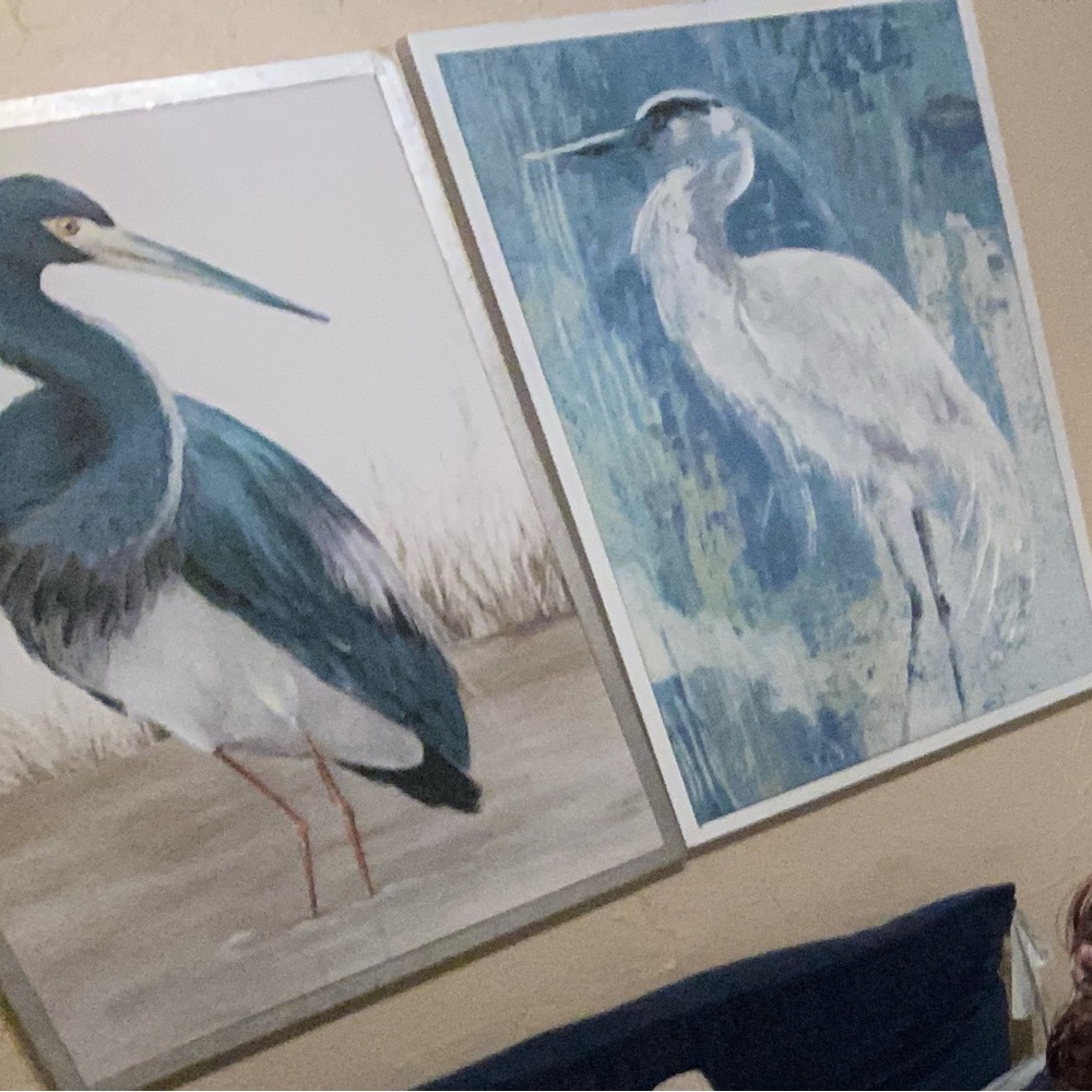 Blue bird art; like new.